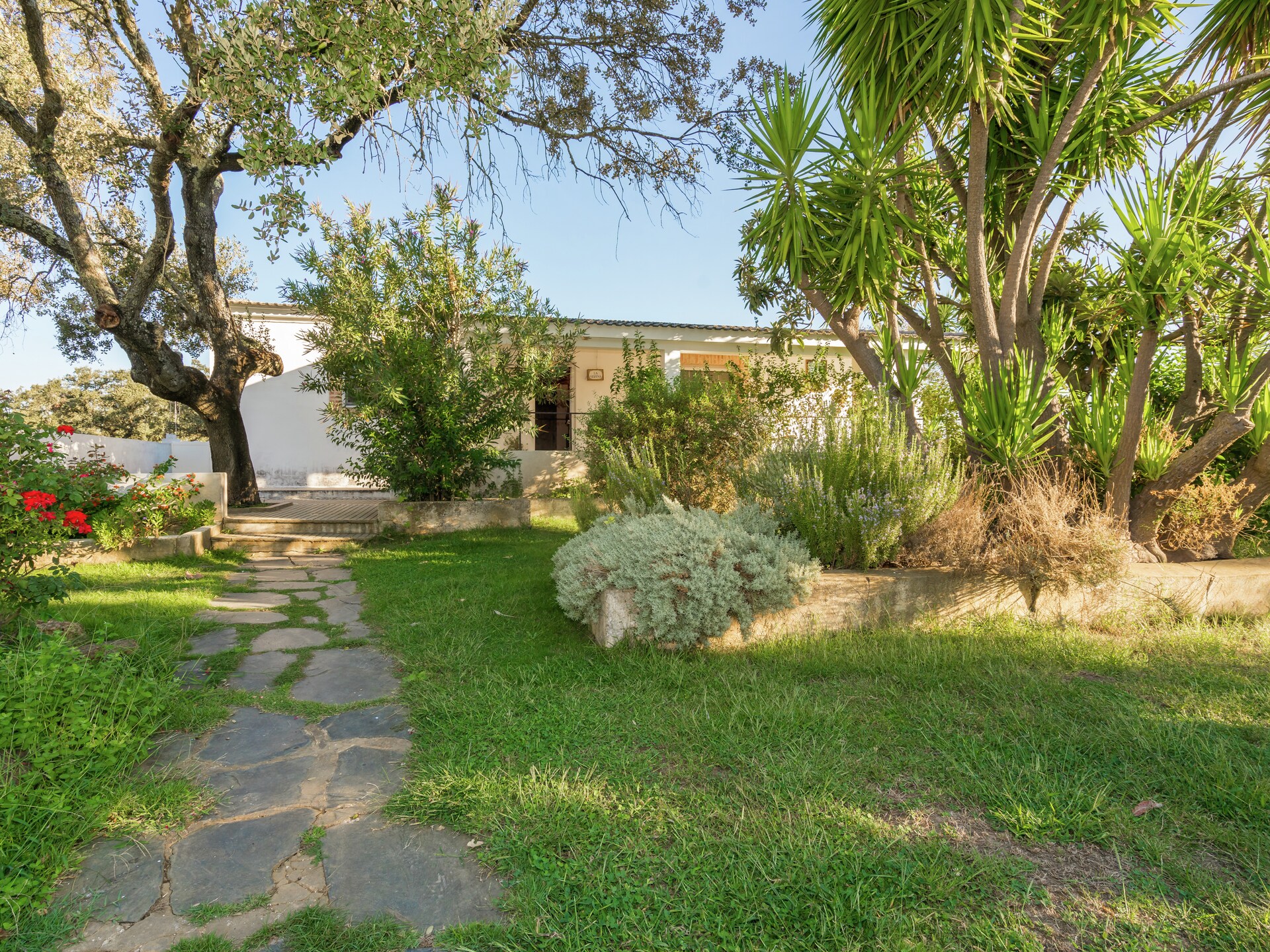 Vrijstaand vakantiehuis La Serena in de bossen van Extremadura - foto 5