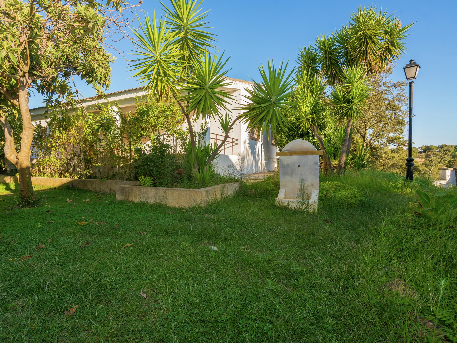 Vrijstaand vakantiehuis La Serena in de bossen van Extremadura - foto 17