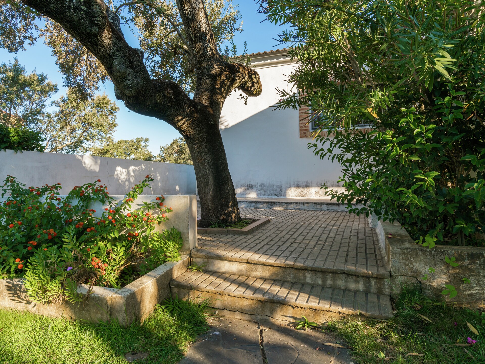 Vrijstaand vakantiehuis La Serena in de bossen van Extremadura - foto 28