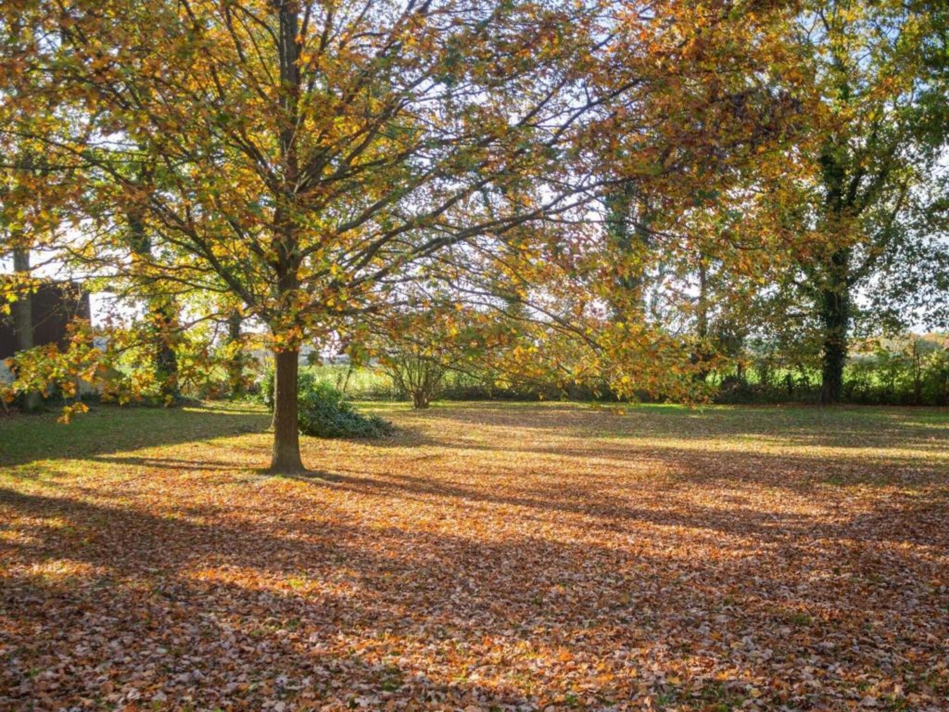 Ruim appartement op bioboerderij bij bos en golfbaan in Langlingen - foto 28