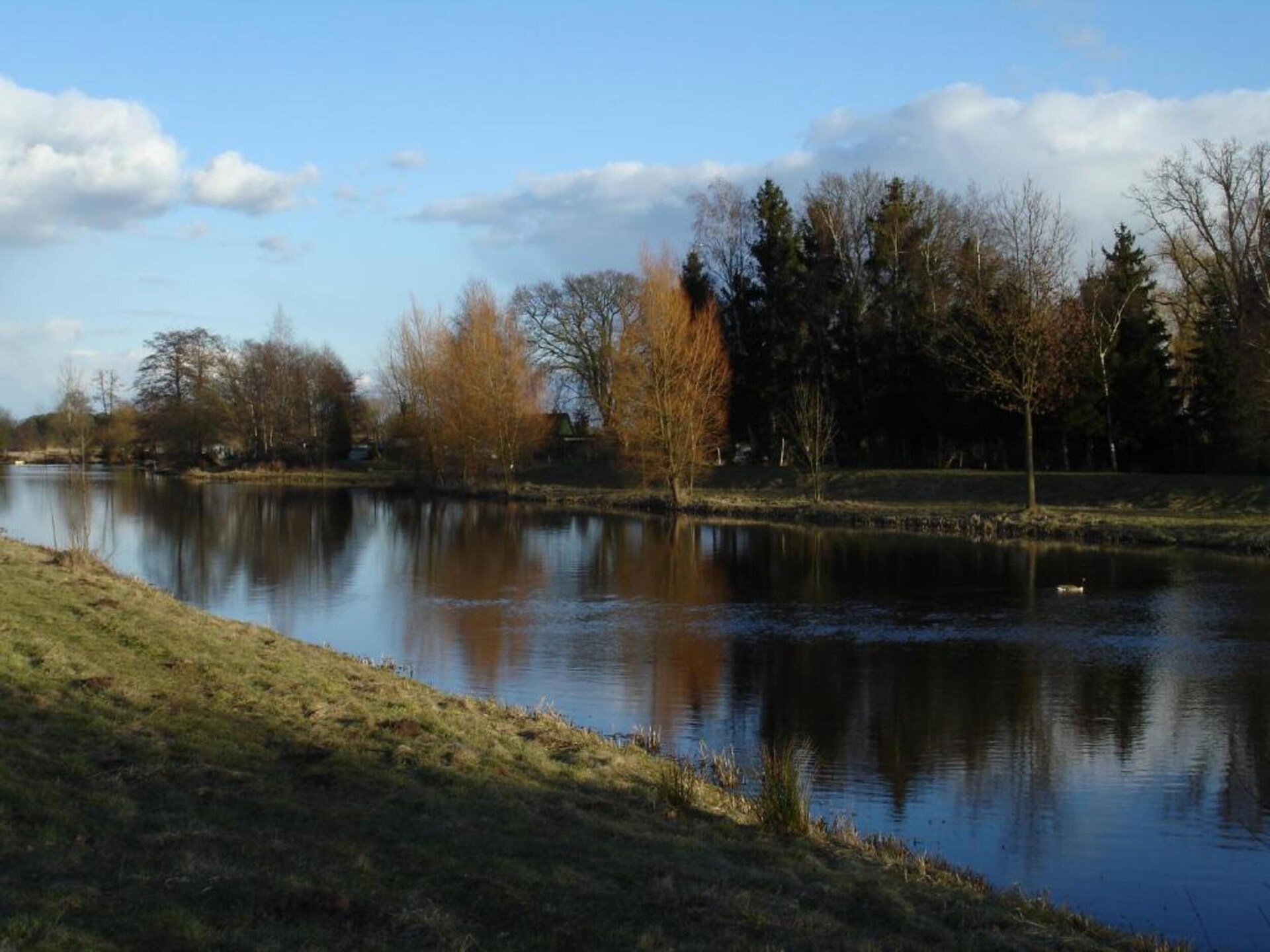 Ruim appartement op bioboerderij bij bos en golfbaan in Langlingen - foto 31