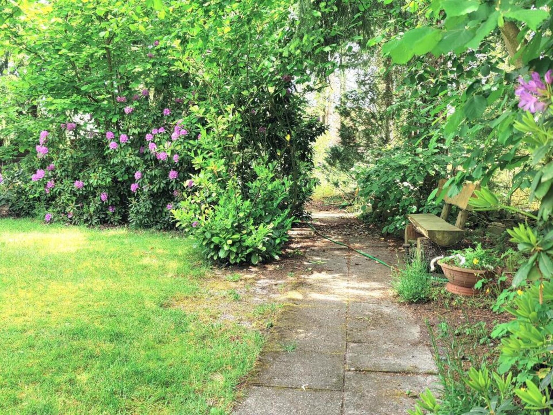 Ruim appartement op bioboerderij bij bos en golfbaan in Langlingen - foto 30
