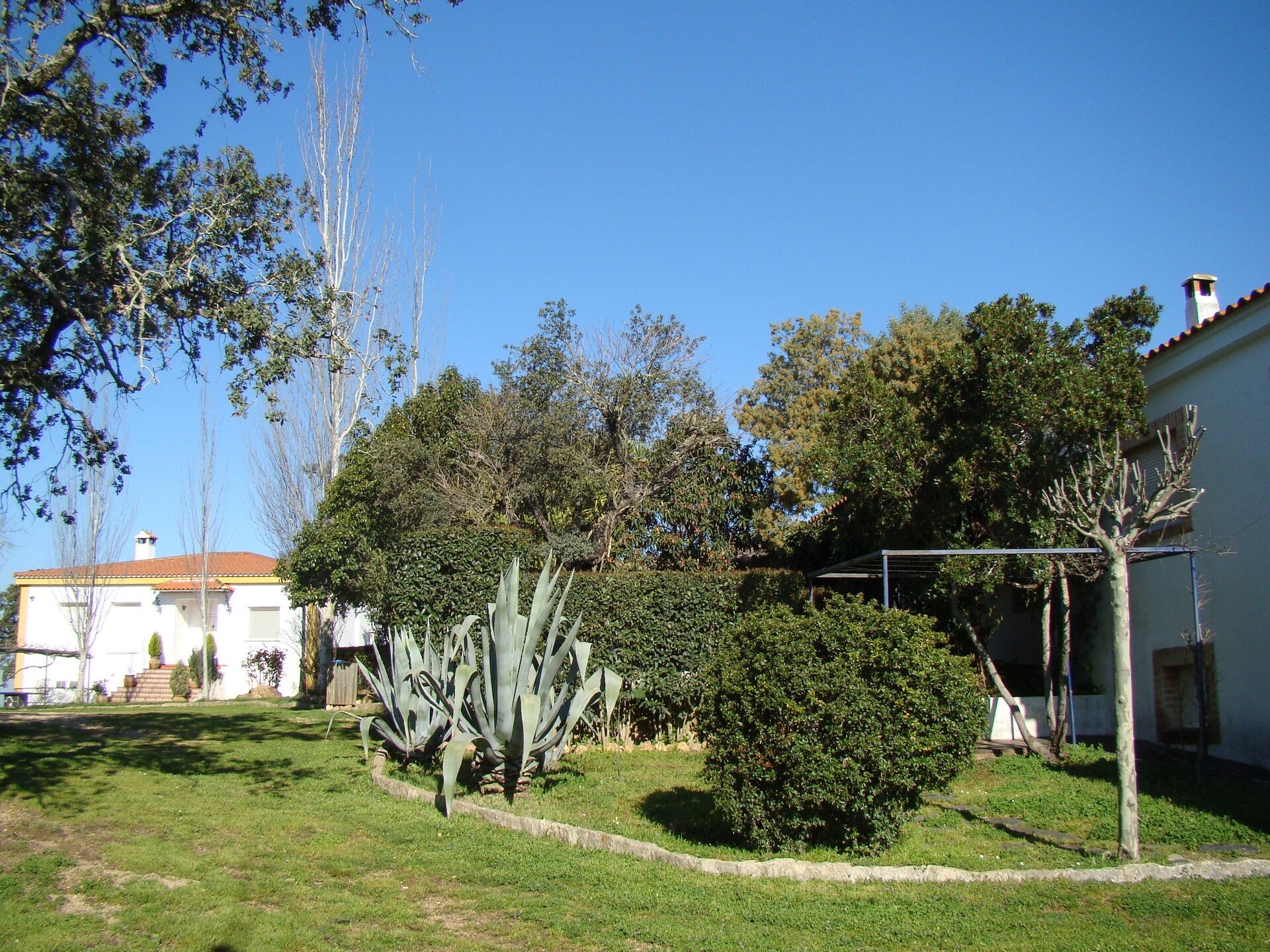La Romera: Vrijstaand vakantiehuis aan meer in natuurpark Extremadura - foto 10