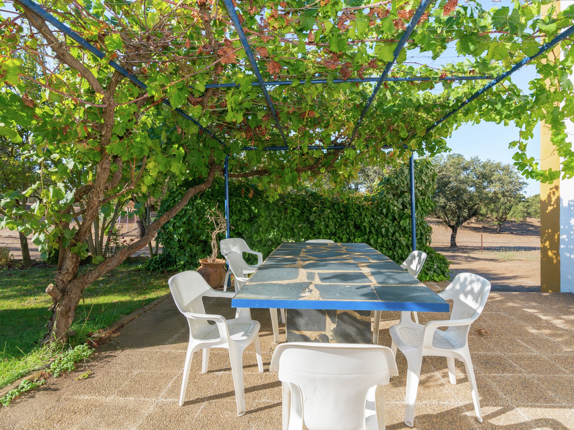 La Romera: Vrijstaand vakantiehuis aan meer in natuurpark Extremadura - foto 34