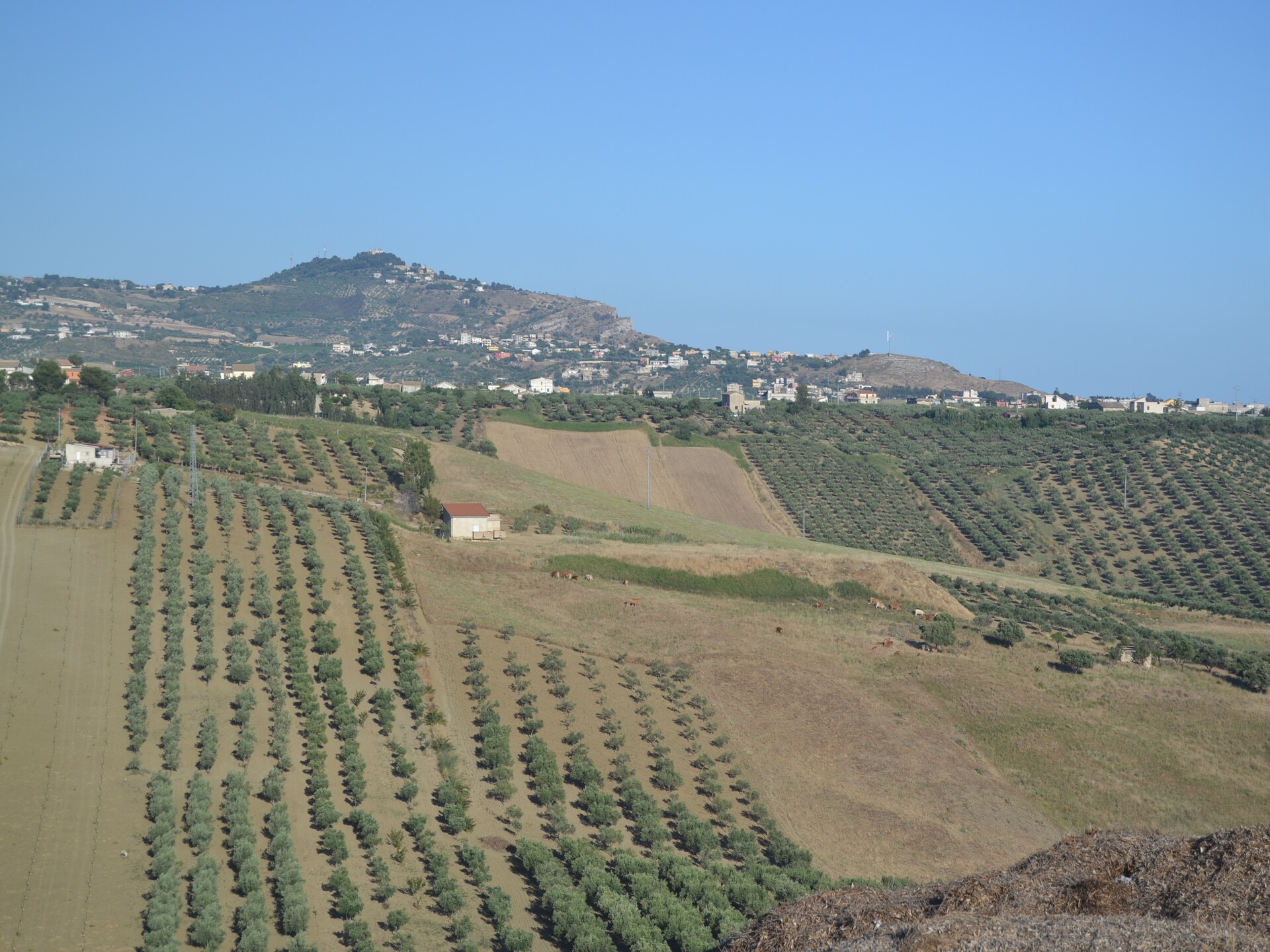 Zonovergoten vakantiehuis Montalbano Quattro in Sciacca - foto 38