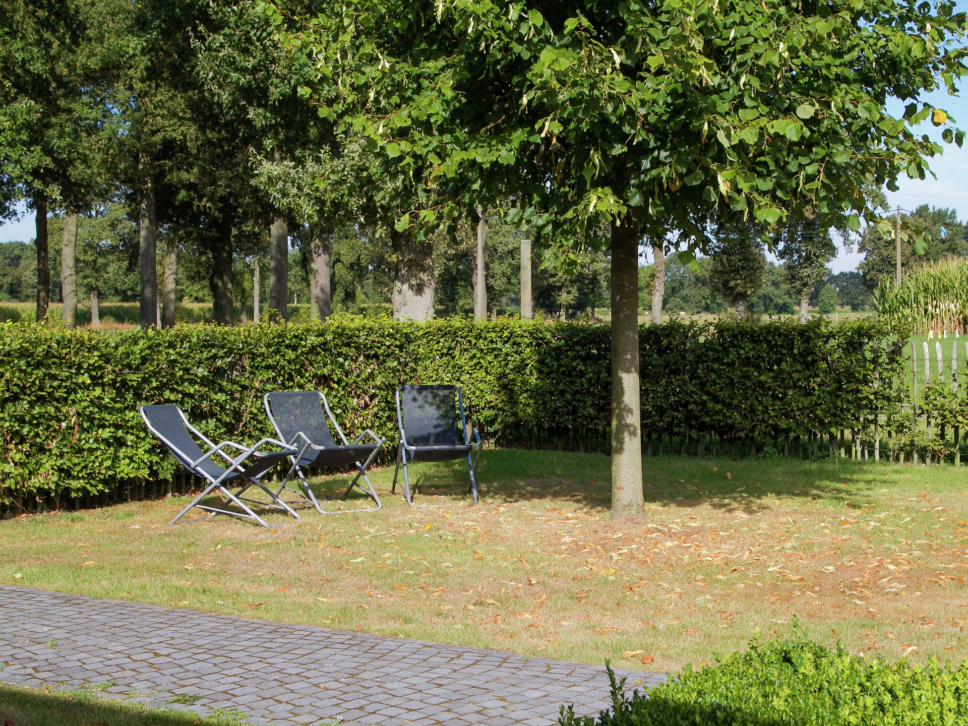 12-persoons villa met speeltuin en tuin in Peer - foto 34