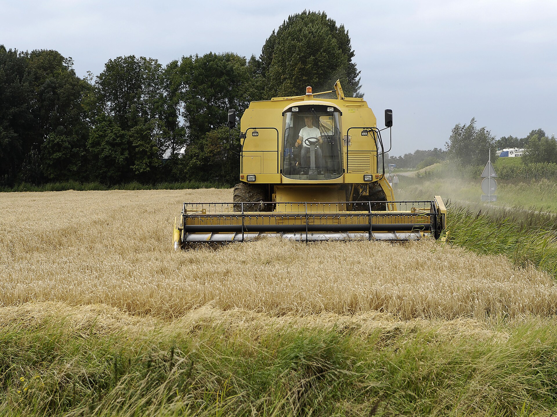 Licykreken: Intiem vakantiehuis op 200m van zee in Wemeldinge - foto 31