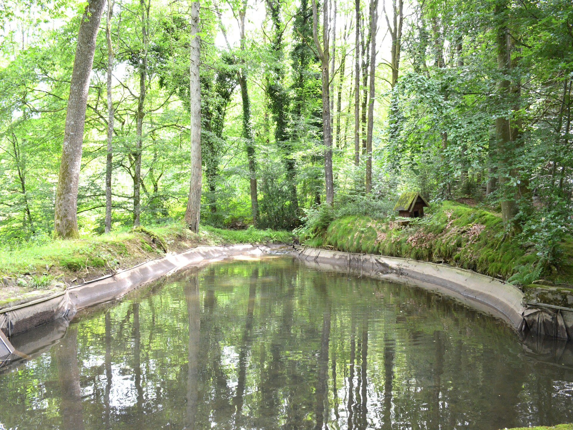 Le Moulin Sylvestre: landhuis met haard en tuin in de Ardennen - foto 20