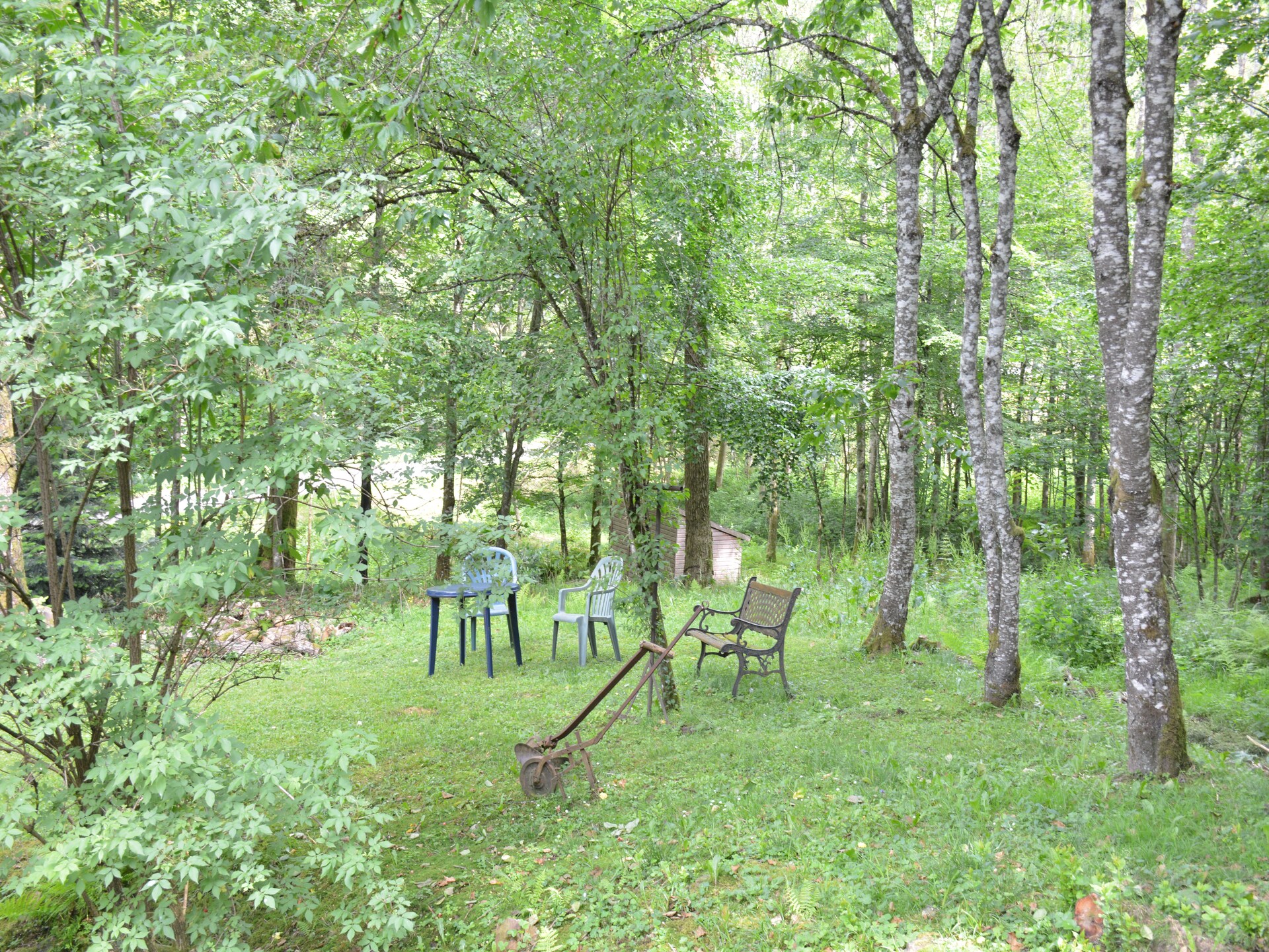 Le Moulin Sylvestre: landhuis met haard en tuin in de Ardennen - foto 21