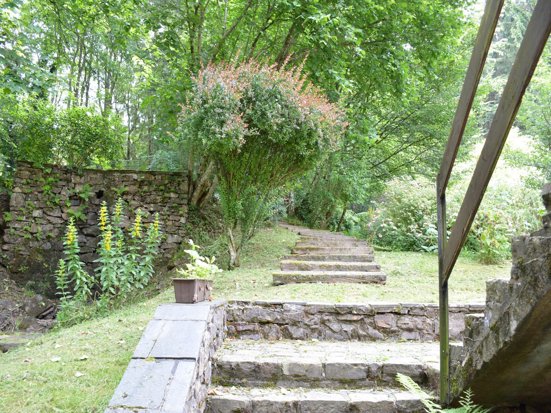 Le Moulin Sylvestre: landhuis met haard en tuin in de Ardennen - foto 22