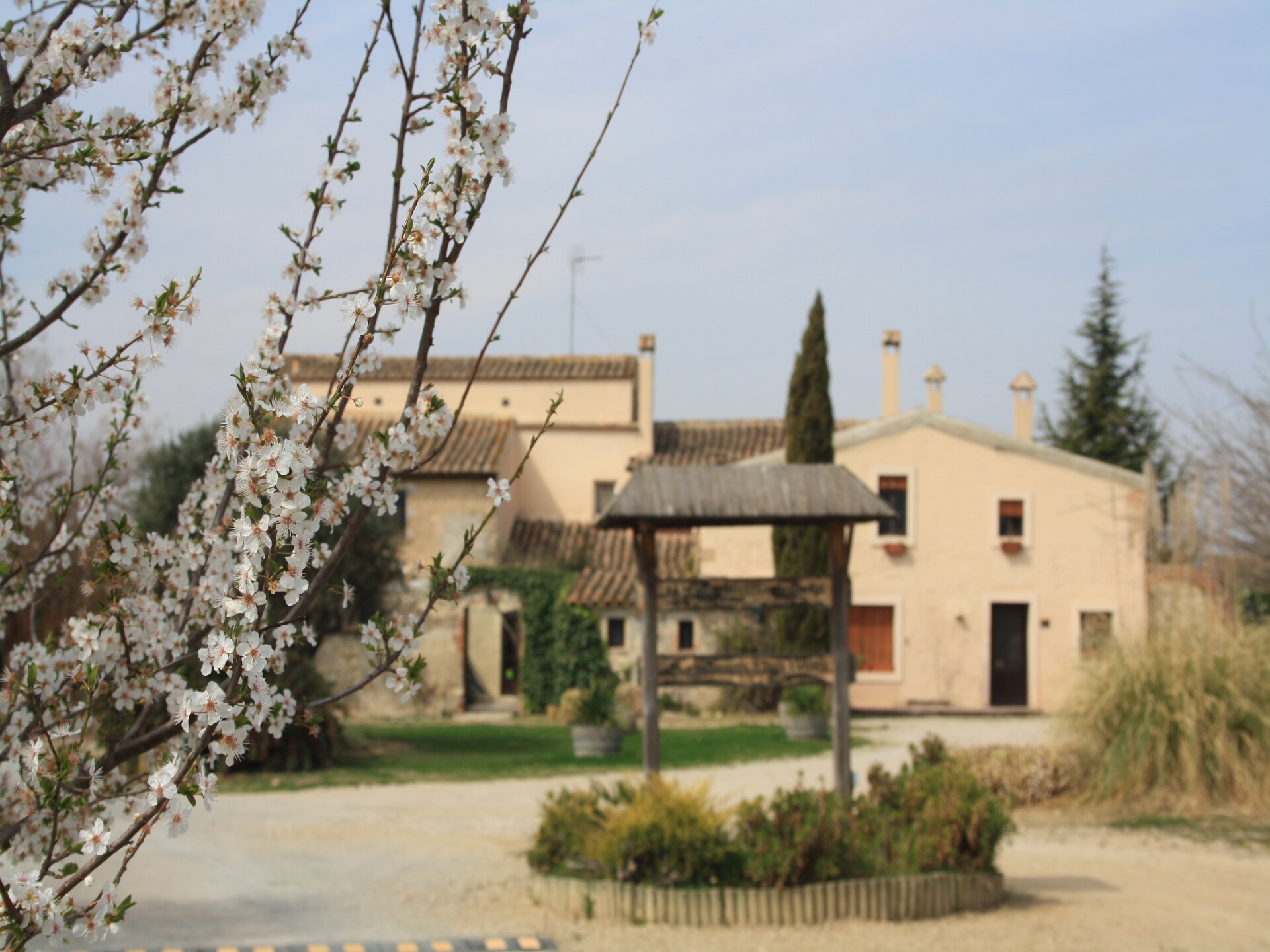L'Olivera Dalt i Baix: Landelijk vakantiehuis voor 8 personen in wijnregio Subirats - foto 7