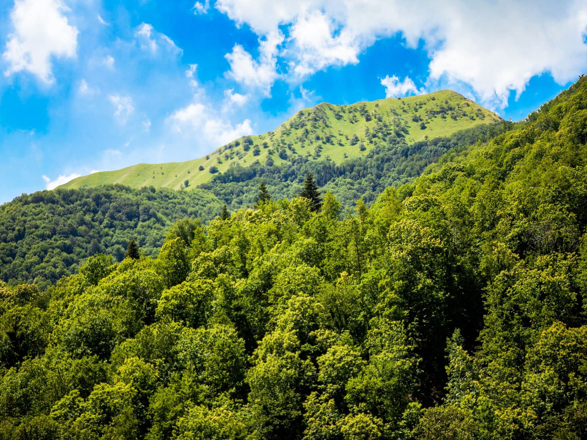 Vrijstaand Toscaans vakantiehuis aan de bosrand bij een meer - foto 36
