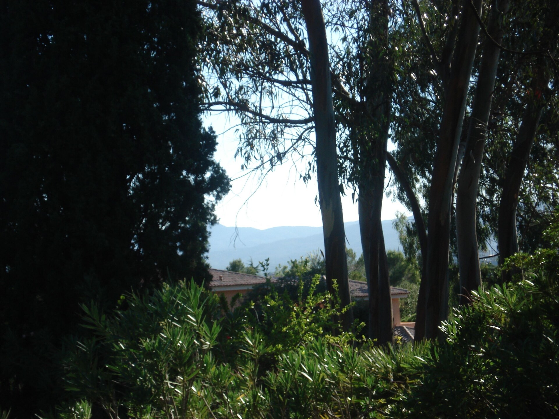 Villa Les Lézards: Ruim familieparadijs met zwembad nabij strand Fréjus - foto 35