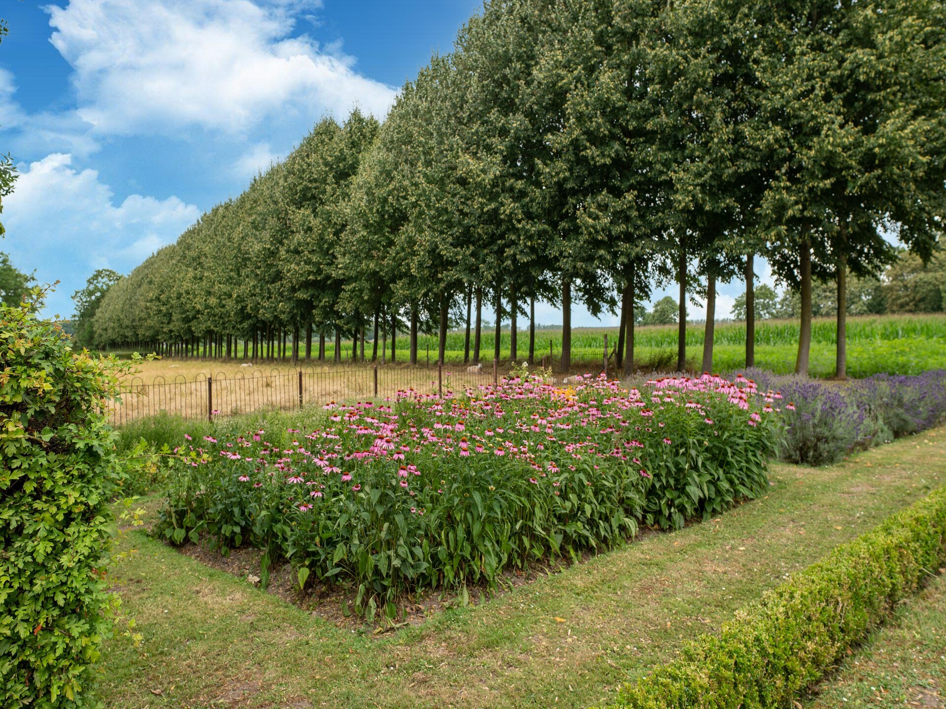 Koetshuis 't Geyn – Sfeervol logeren op historisch landgoed in de Betuwe - foto 33