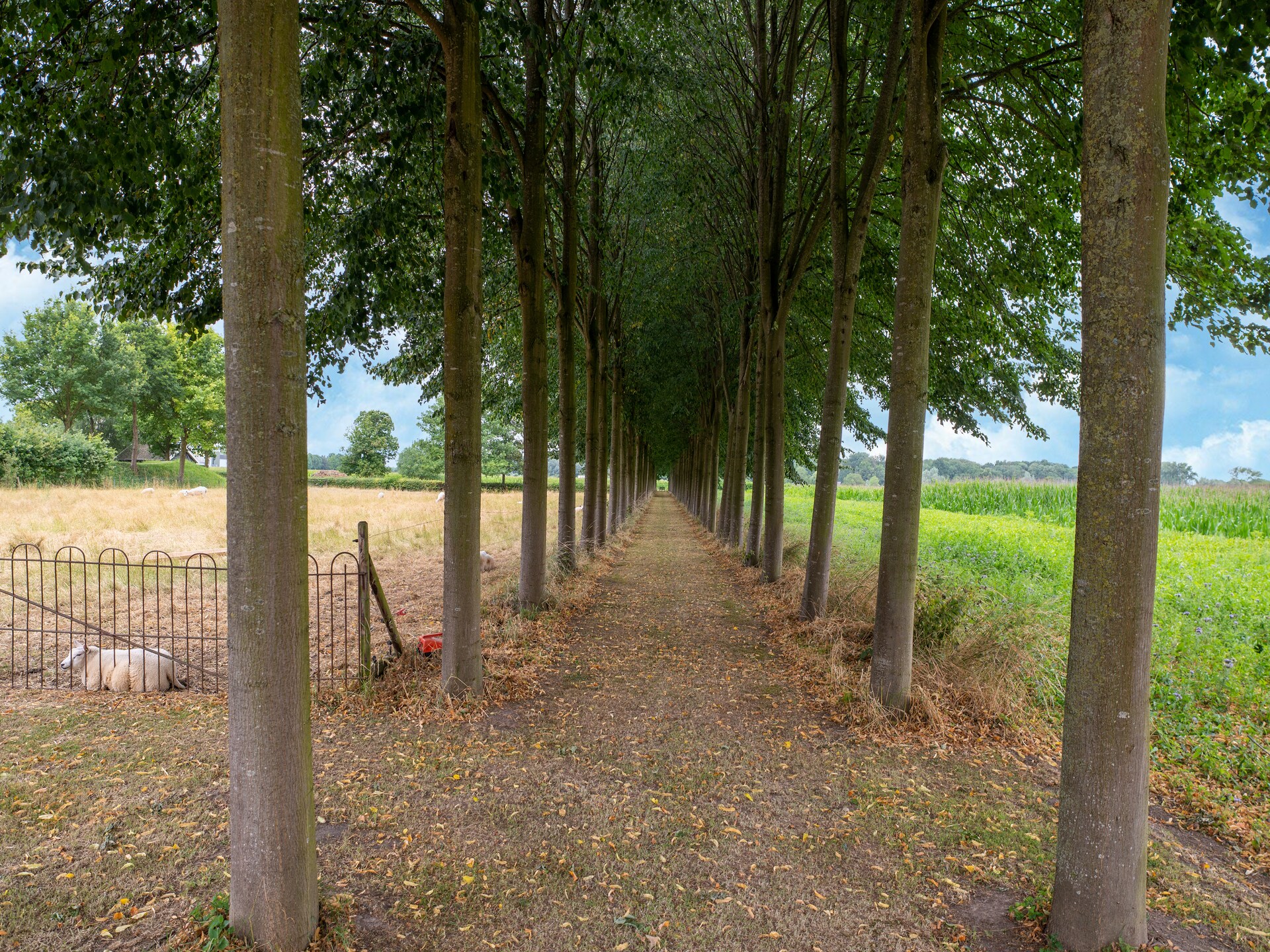 Koetshuis 't Geyn – Sfeervol logeren op historisch landgoed in de Betuwe - foto 34