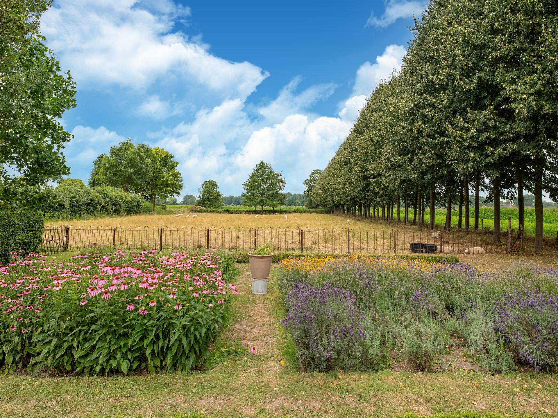 Koetshuis 't Geyn – Sfeervol logeren op historisch landgoed in de Betuwe - foto 32