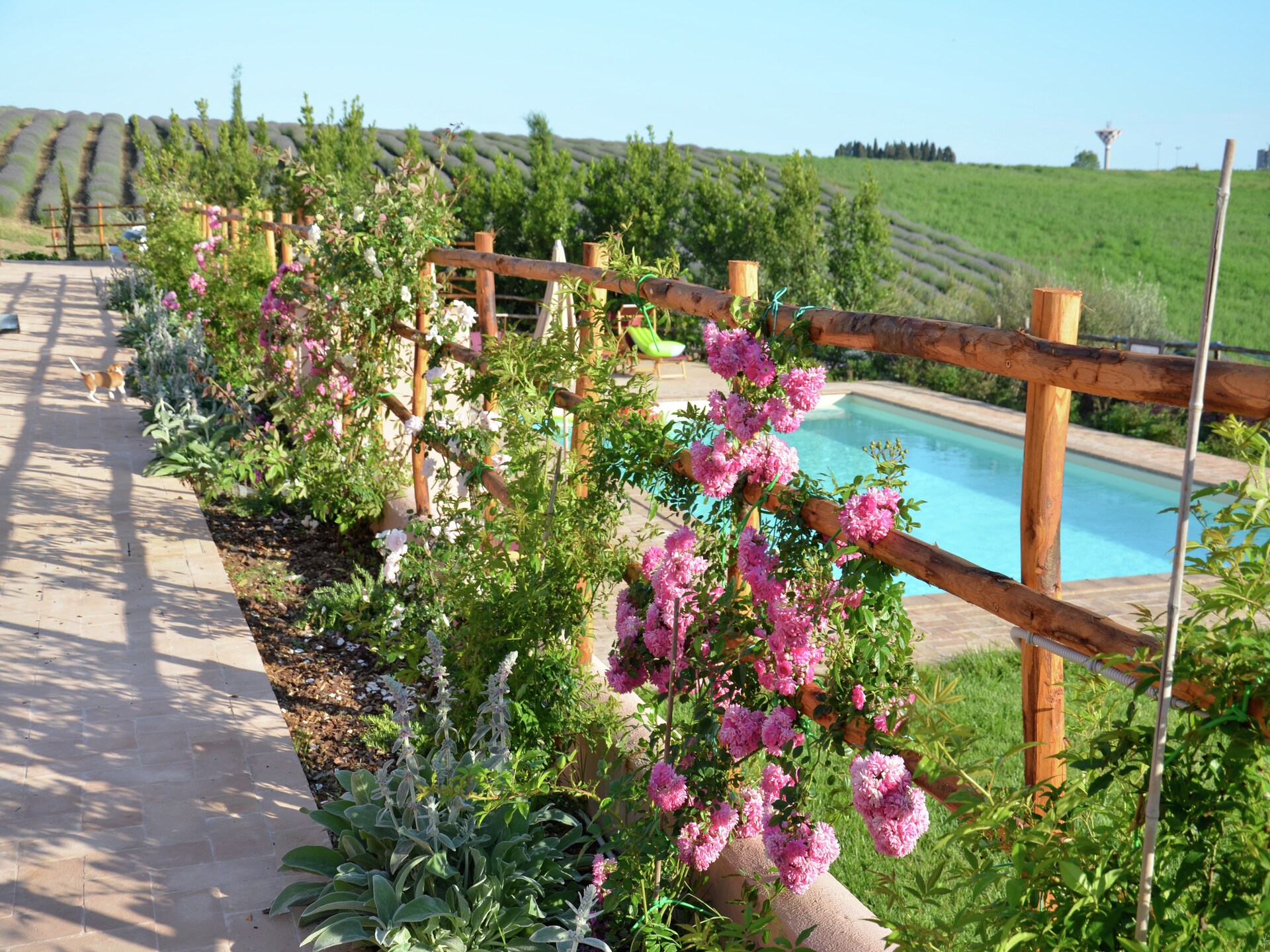 Landelijke boerderij Ginestra in Montalto di Castro - foto 35