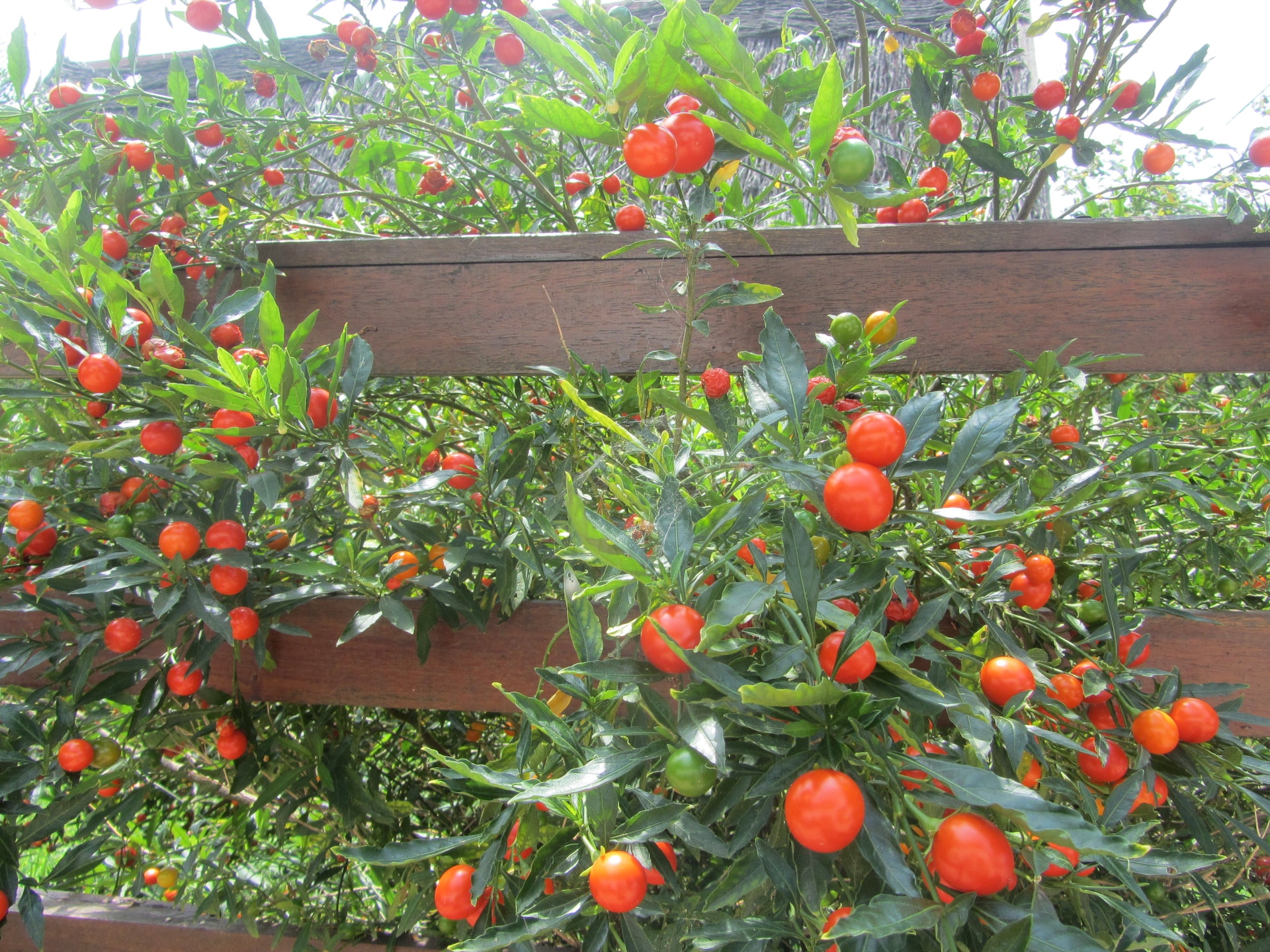 Authentiek Baskisch landhuis met grote tuin nabij Urdaibai - foto 23
