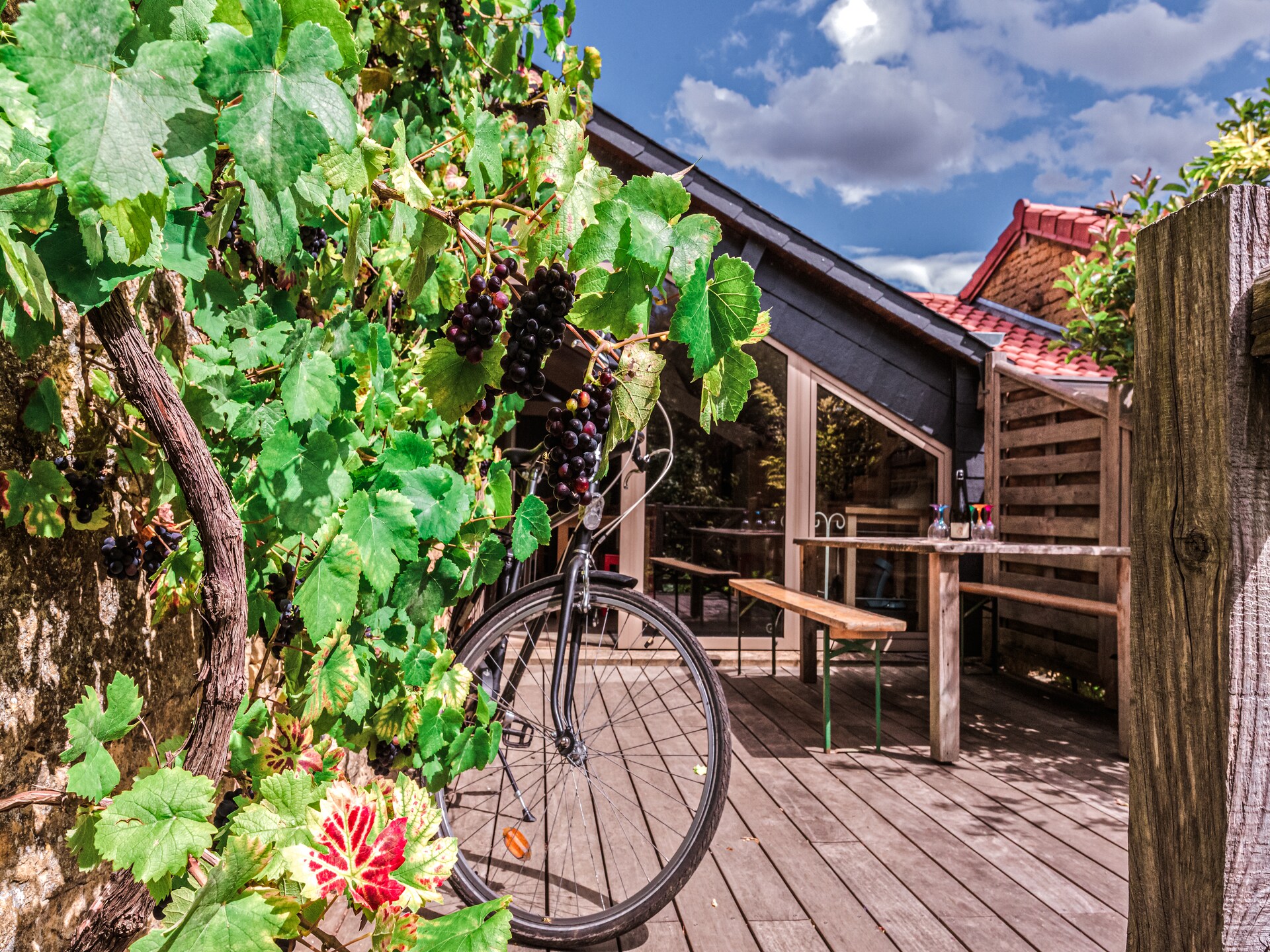 Sprookjesachtig landhuis met sauna in de bossen bij Lamorteau - foto 16