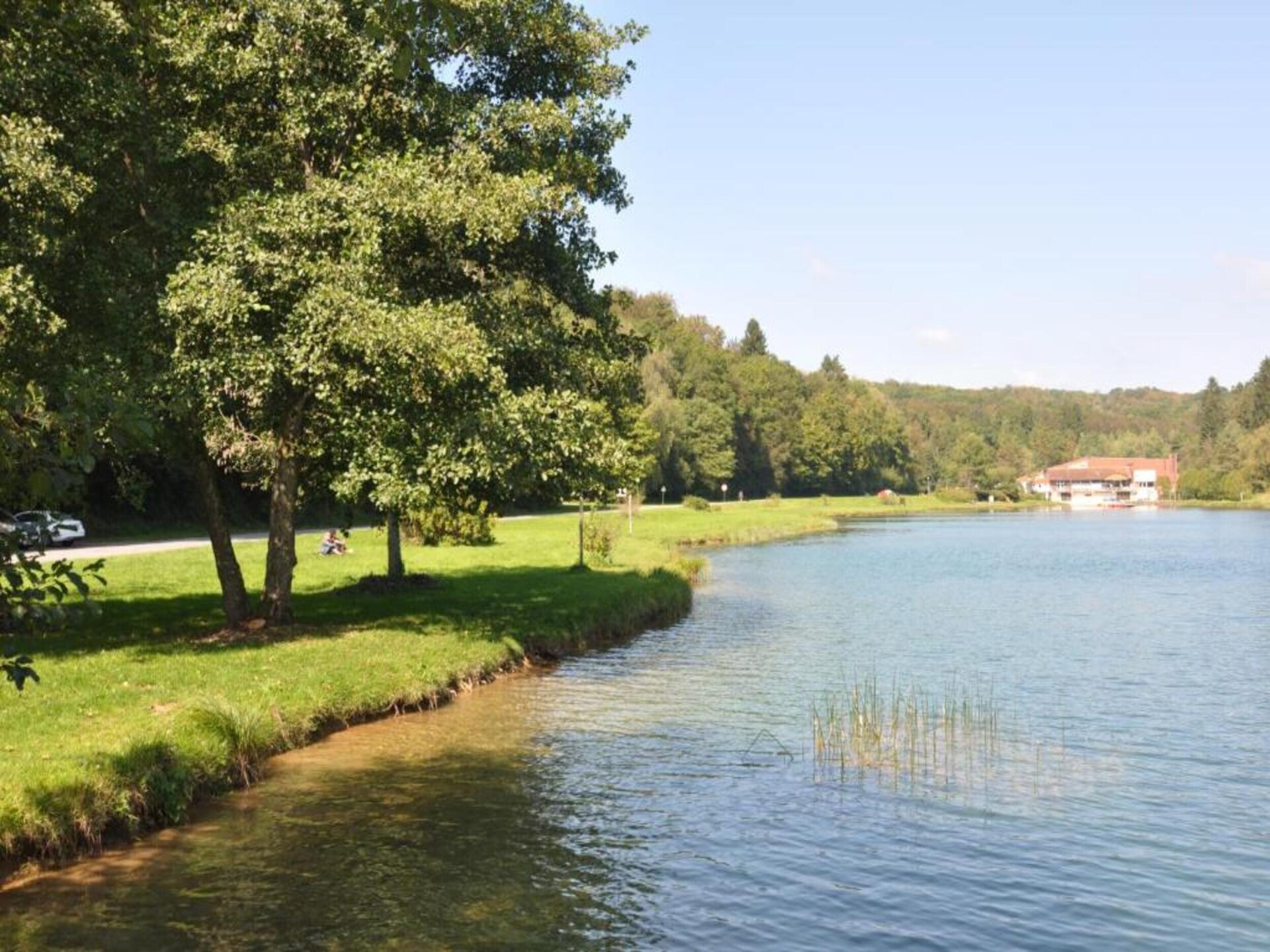 Sprookjesachtig landhuis met sauna in de bossen bij Lamorteau - foto 32