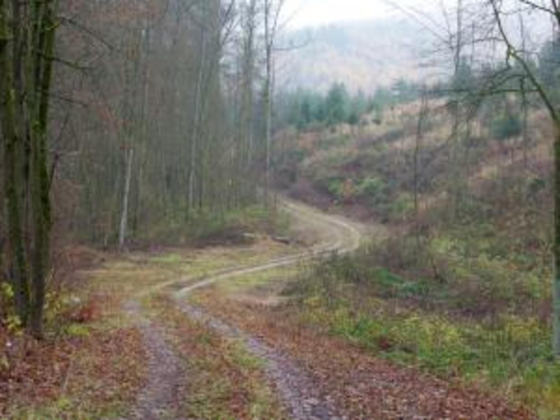 Rustiek appartement aan de bosrand in Hüttenrode, vlakbij de Harz - foto 28