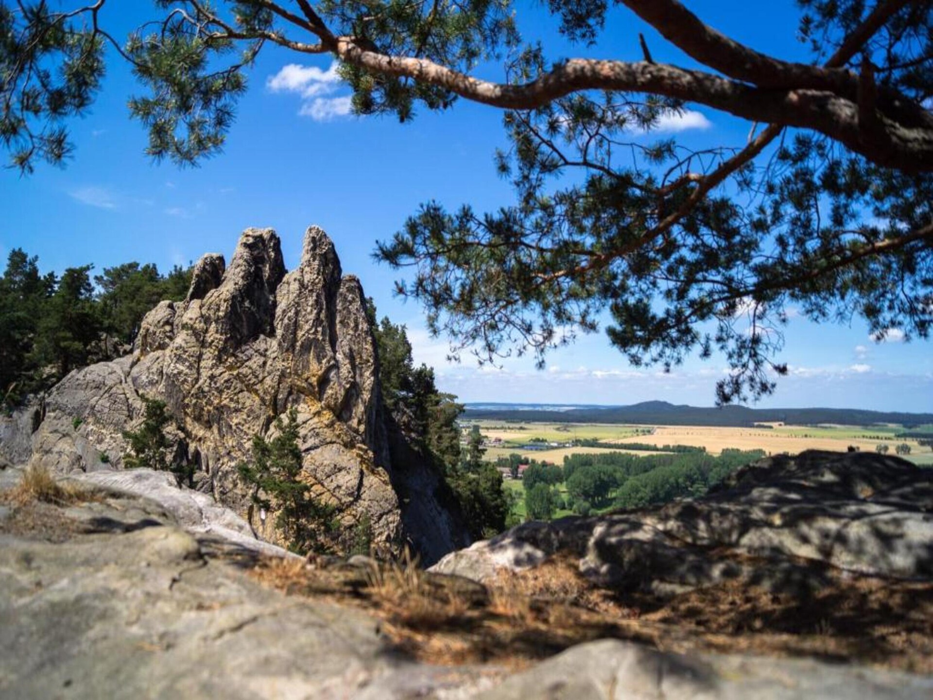 Rustiek appartement aan de bosrand in Hüttenrode, vlakbij de Harz - foto 32