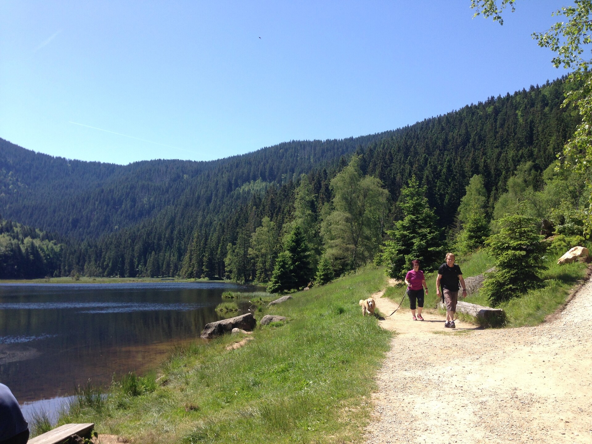 Vrijstaand vakantiehuis Talblick aan de skipiste in het Beierse Woud - foto 17