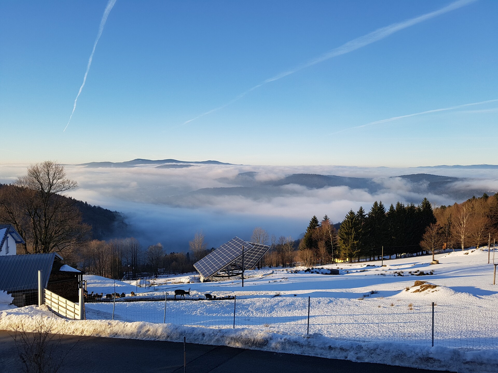 Vrijstaand vakantiehuis Talblick aan de skipiste in het Beierse Woud - foto 30