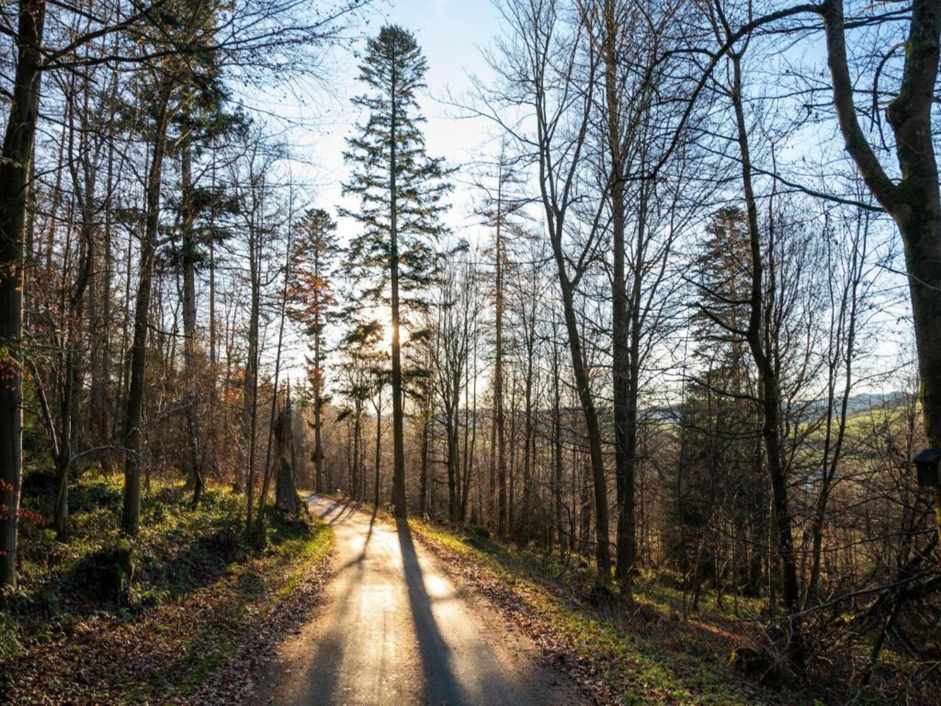 Vrijstaand groepshuis in Brilon-Wald: 18 pers, bos, ski & tuin - foto 29