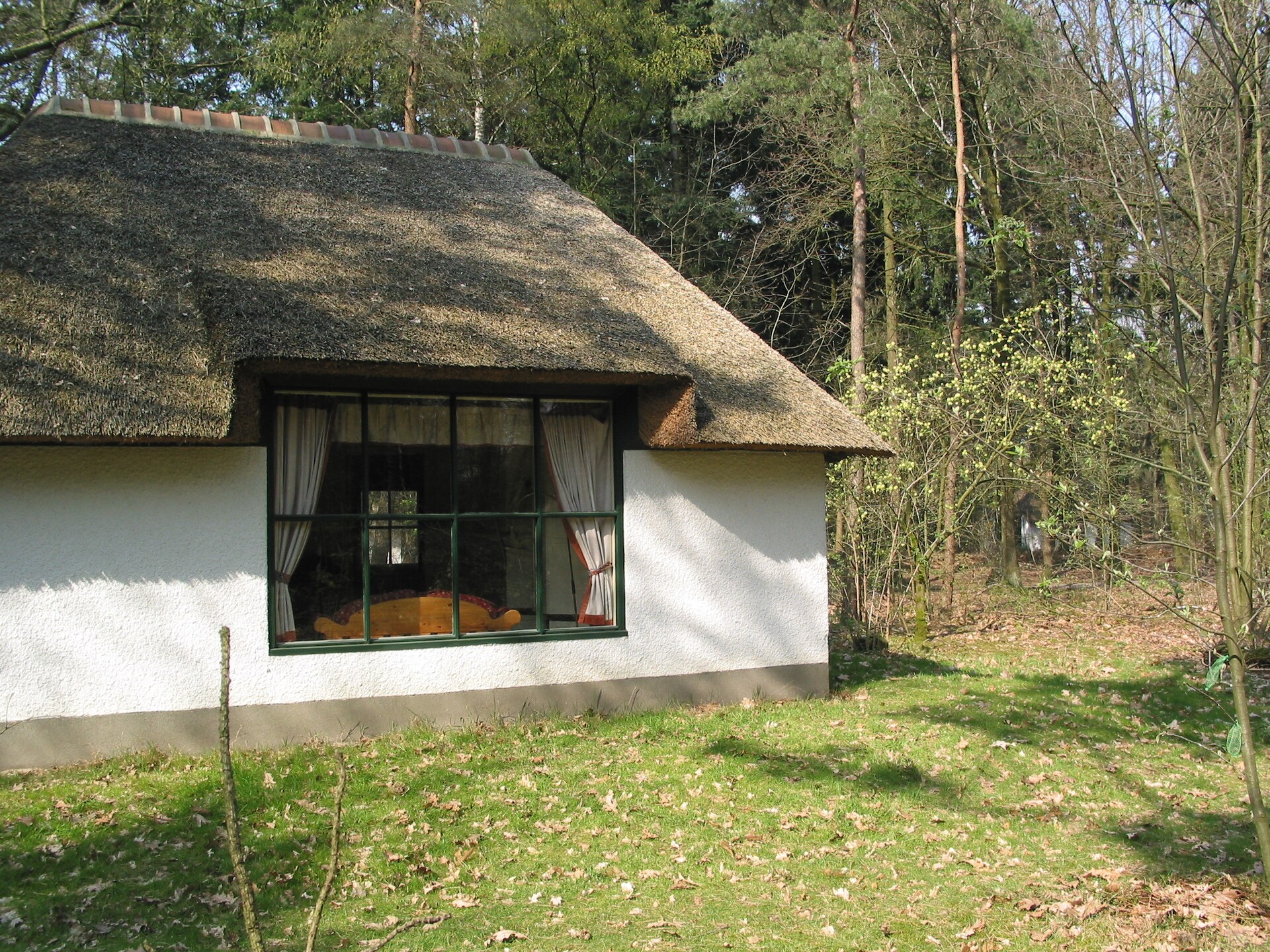 Sfeervolle rietgedekte bungalow op rustig vakantiepark in bosrijk Herpen - foto 2