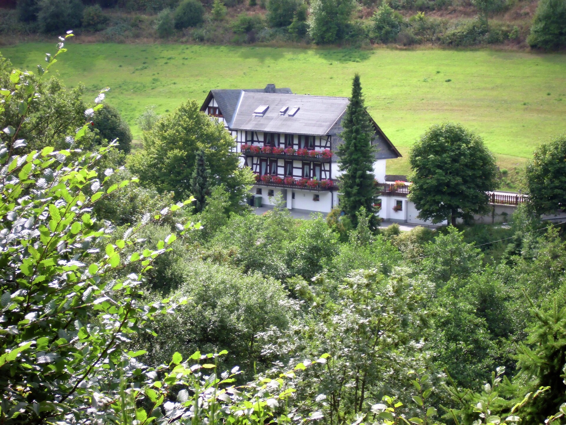 Gezellig appartement in Schmallenberg-Oberkirchen voor 5 personen - foto 38