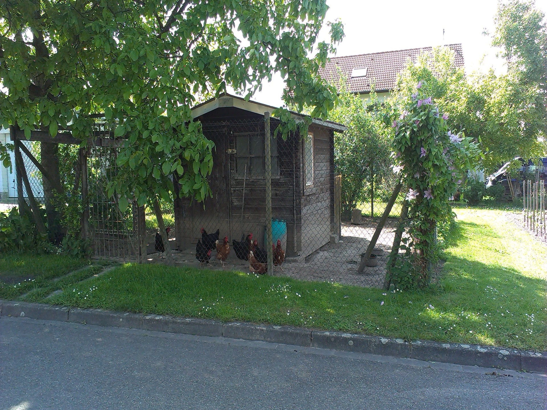Zonnig appartement aan de rand van Bischoffingen met balkon en tuin - foto 16