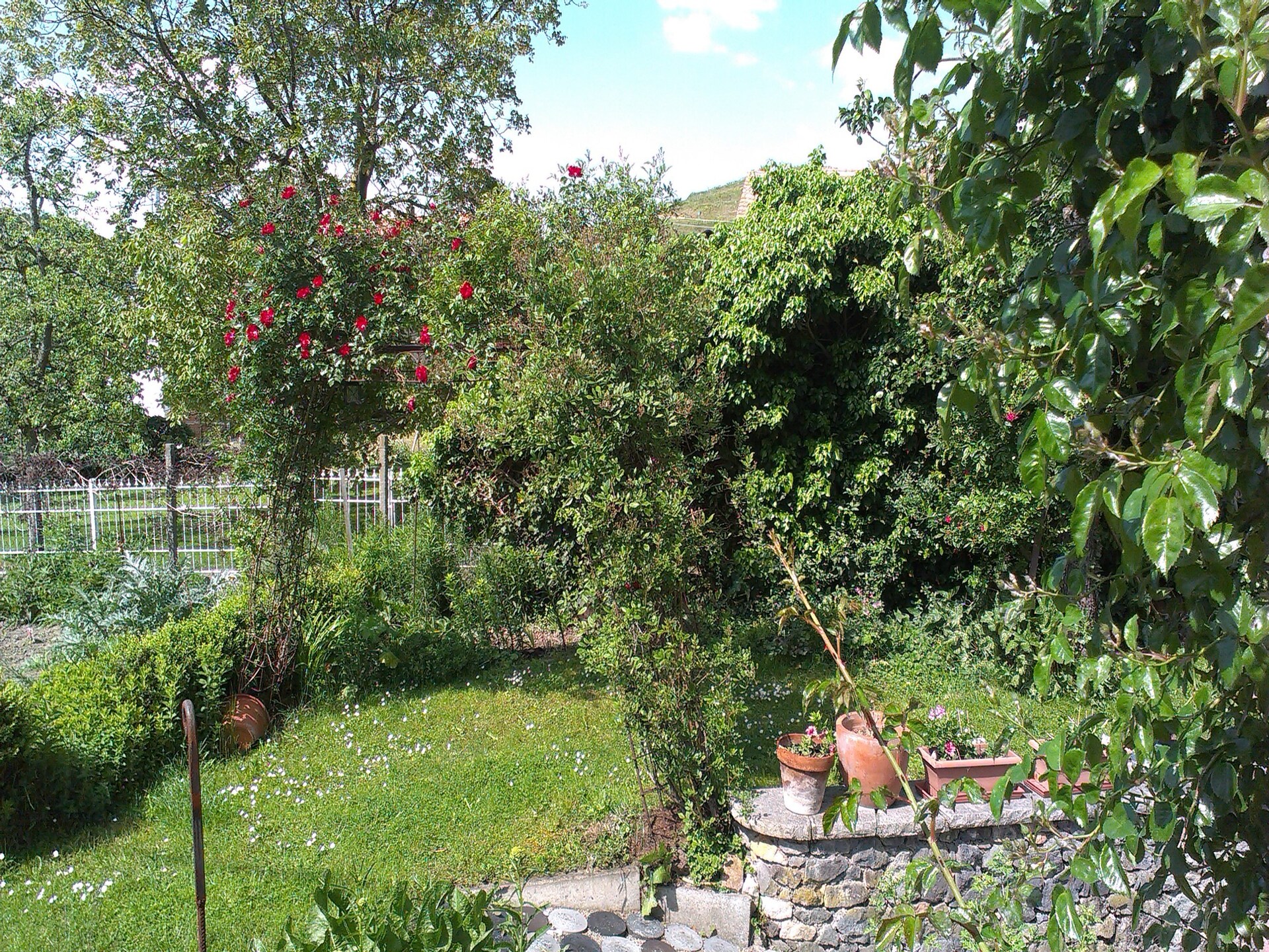 Zonnig appartement aan de rand van Bischoffingen met balkon en tuin - foto 15