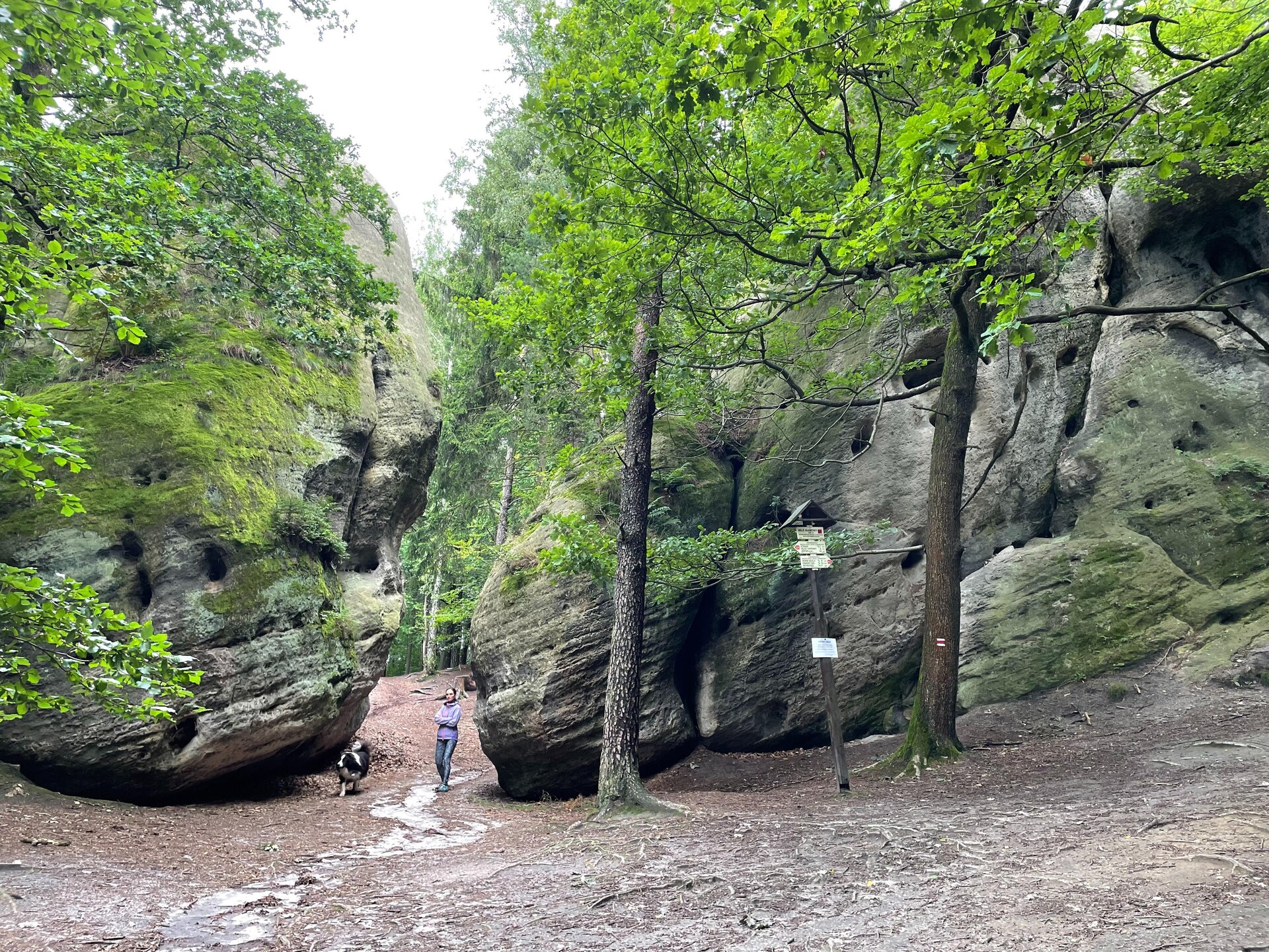 Vrijstaand vakantiehuis Jablon aan het meer in Tsjechië voor 8 personen - foto 26