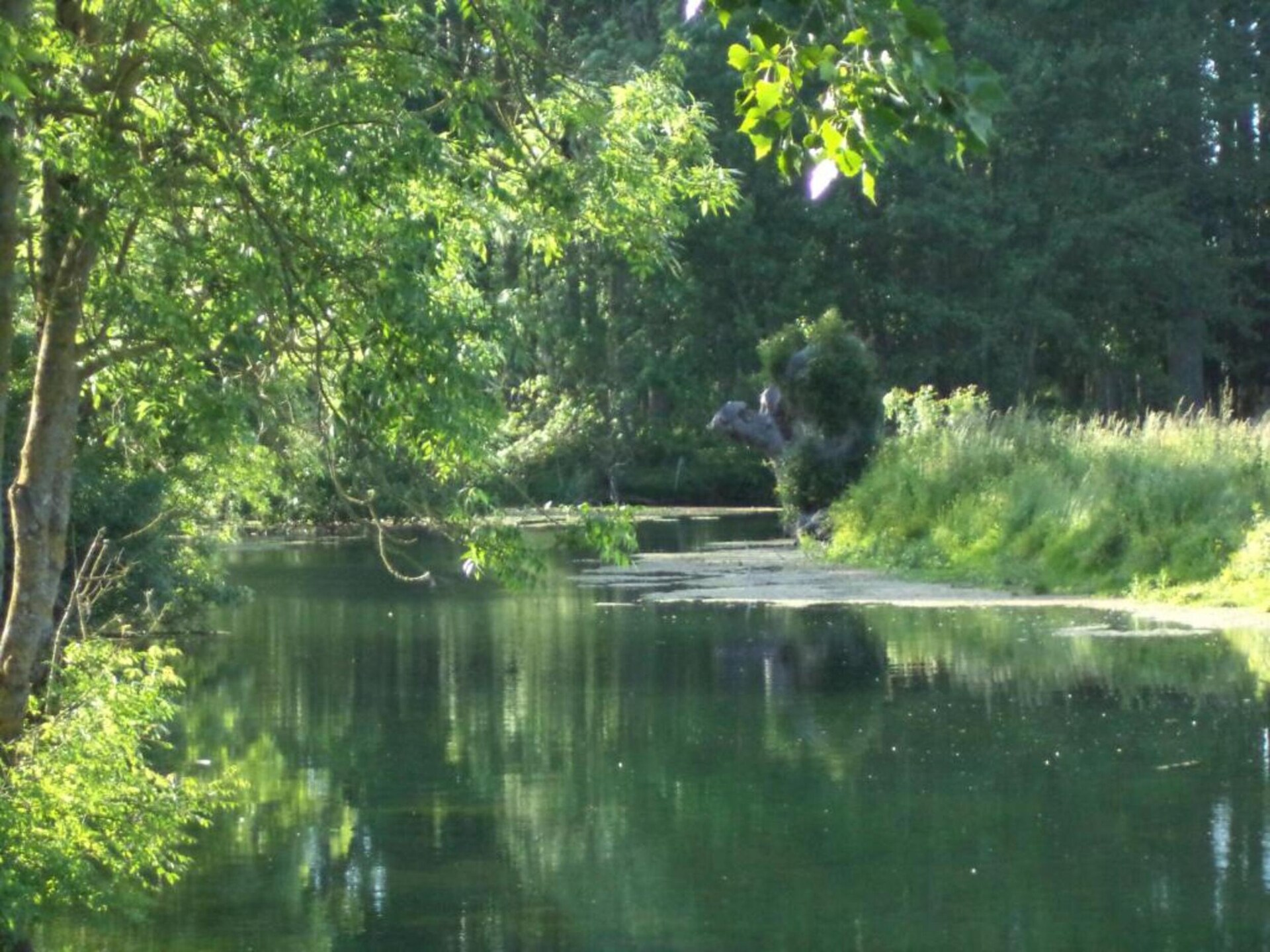 Vrijstaand vakantiehuis bij zee met privétuin en zeezicht in Etretat - foto 30