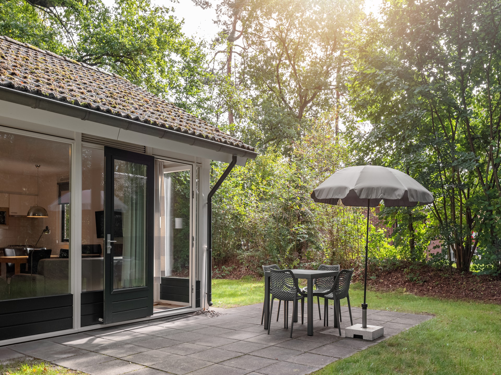 Knus chalet op Bospark Lunsbergen: wandelen, hunebedden en rust in Drenthe - foto 11