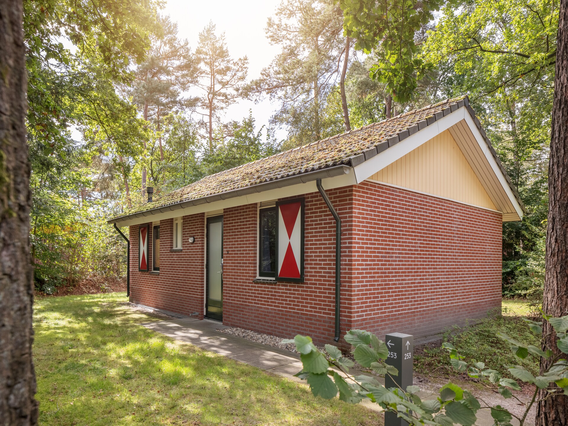 Knus chalet op Bospark Lunsbergen: wandelen, hunebedden en rust in Drenthe - foto 7