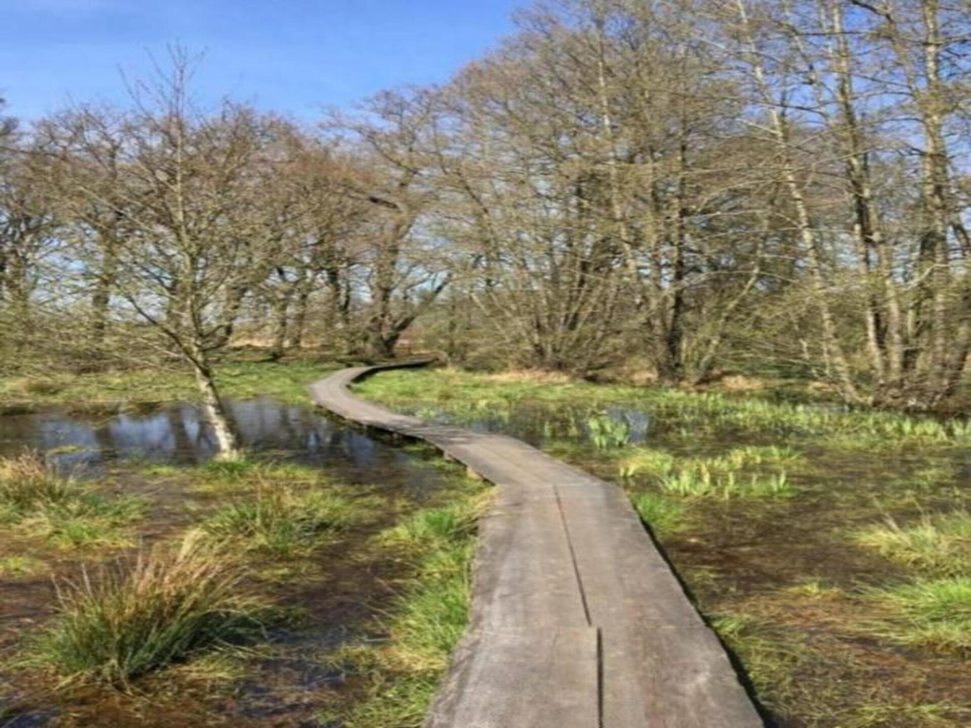 Knus chalet op Bospark Lunsbergen: wandelen, hunebedden en rust in Drenthe - foto 32