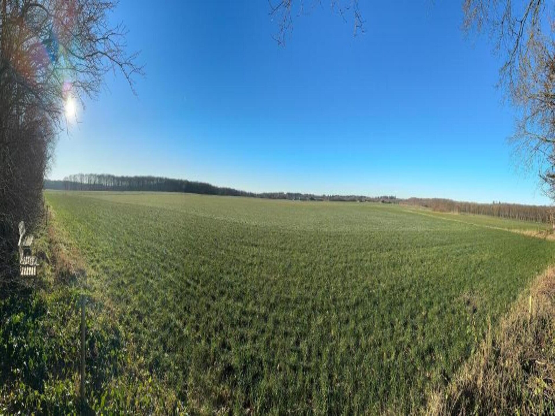 Knus chalet op Bospark Lunsbergen: wandelen, hunebedden en rust in Drenthe - foto 35