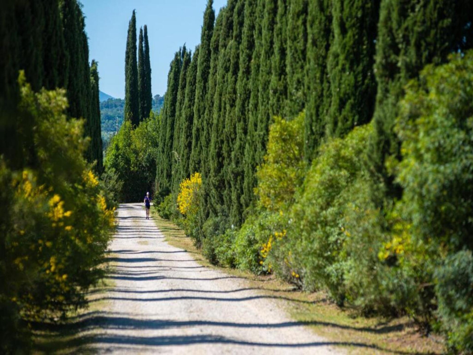Rustieke boerderij voor 8 in de Toscaanse bossen bij Massa Marittima - foto 40