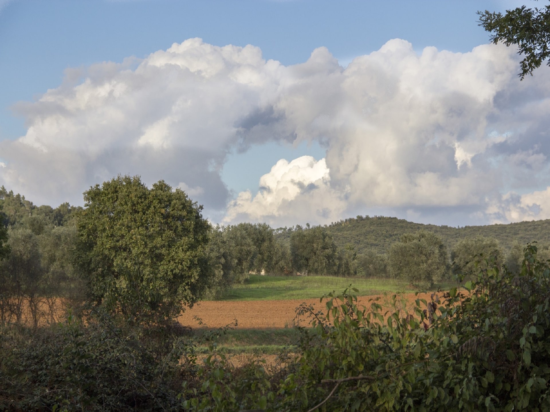 Authentieke boerderij Viola in Massa Marittima voor 5 personen - foto 25