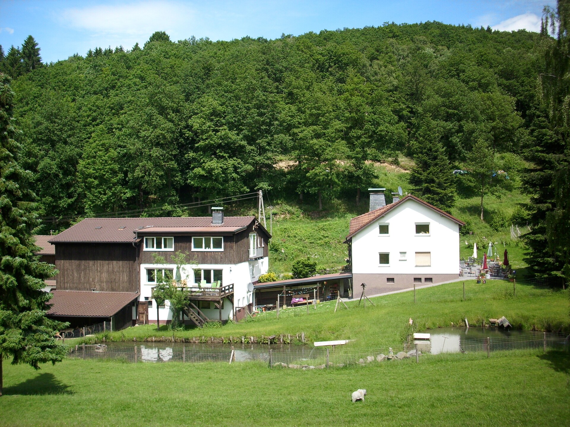 Rustiek appartement op boerderij met hertenpark in Lennestadt, Sauerland - foto 2