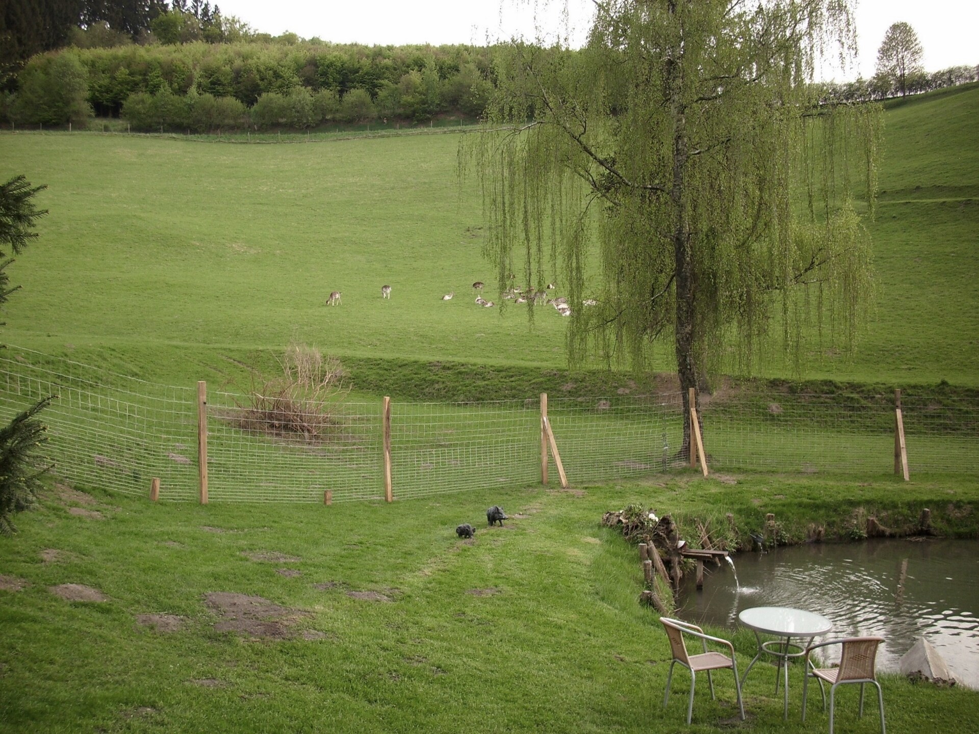Rustiek appartement op boerderij met hertenpark in Lennestadt, Sauerland - foto 23