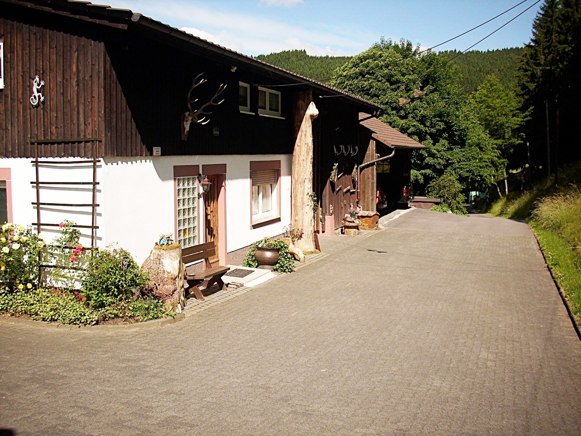 Rustiek appartement op boerderij met hertenpark in Lennestadt, Sauerland - foto 14