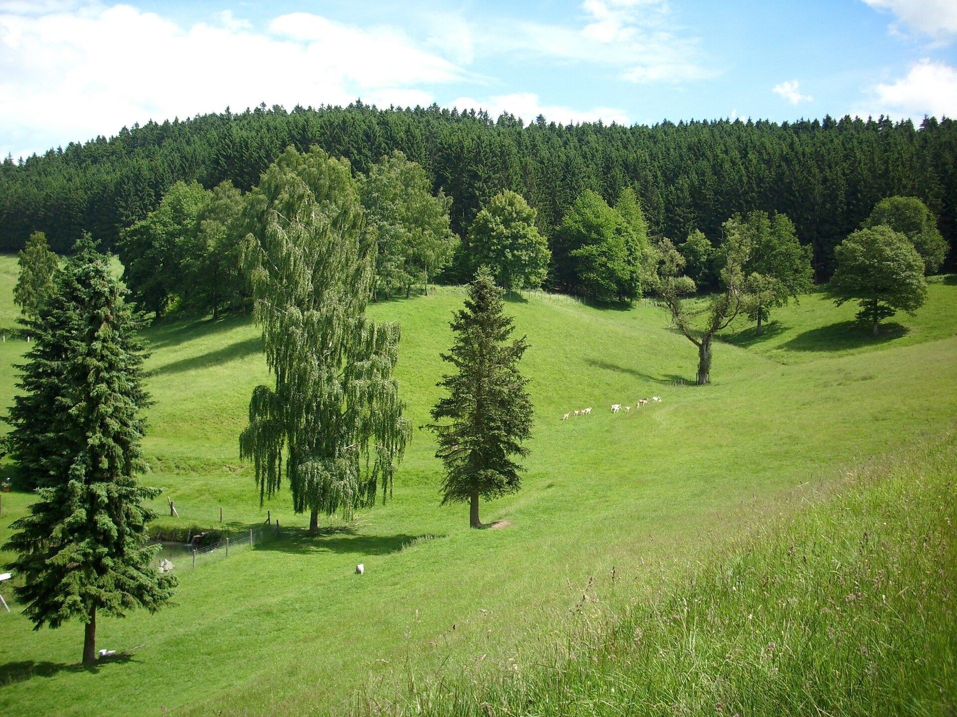 Rustiek appartement op boerderij met hertenpark in Lennestadt, Sauerland - foto 33