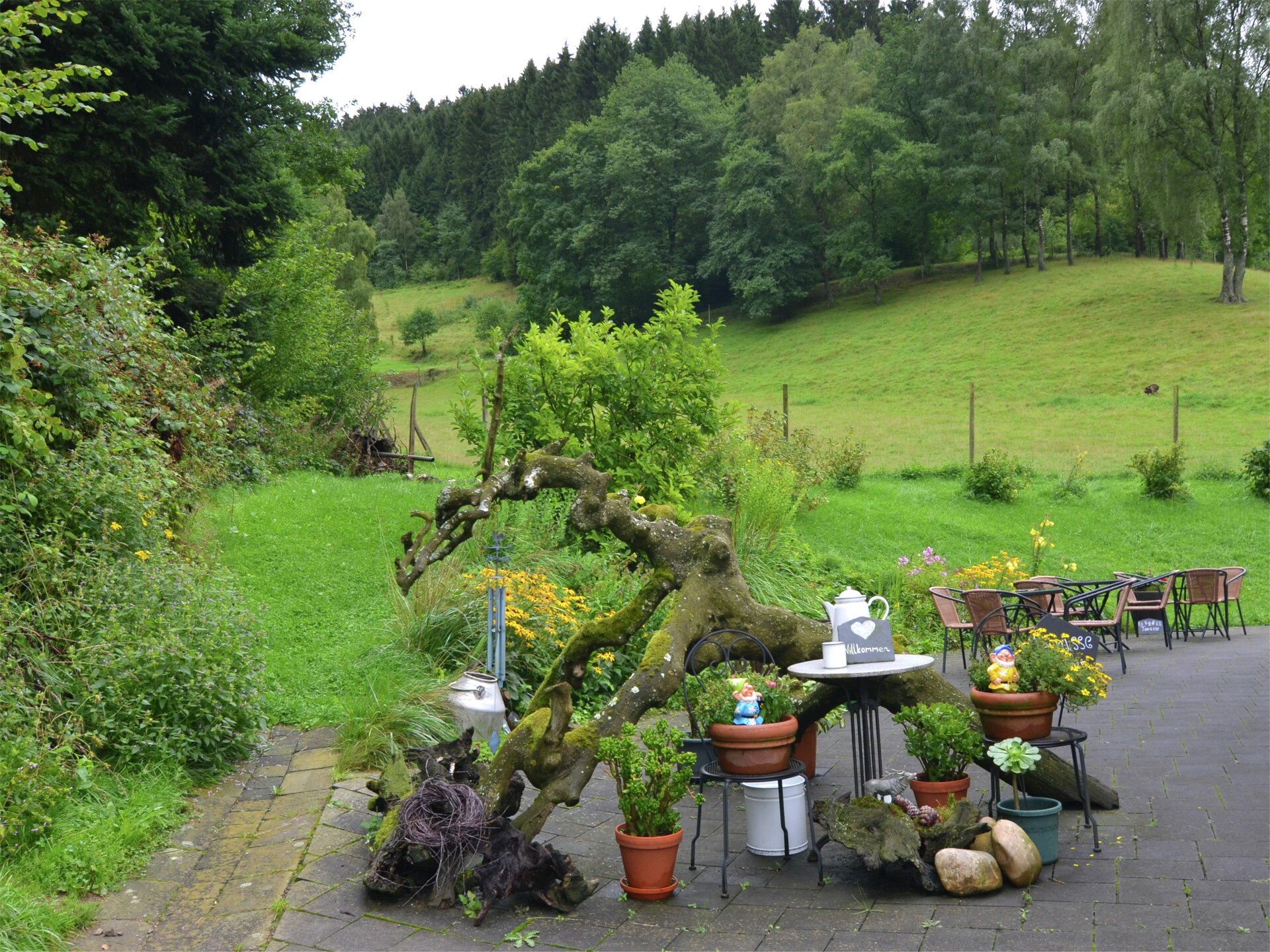 Rustiek appartement op boerderij met hertenpark in Lennestadt, Sauerland - foto 21