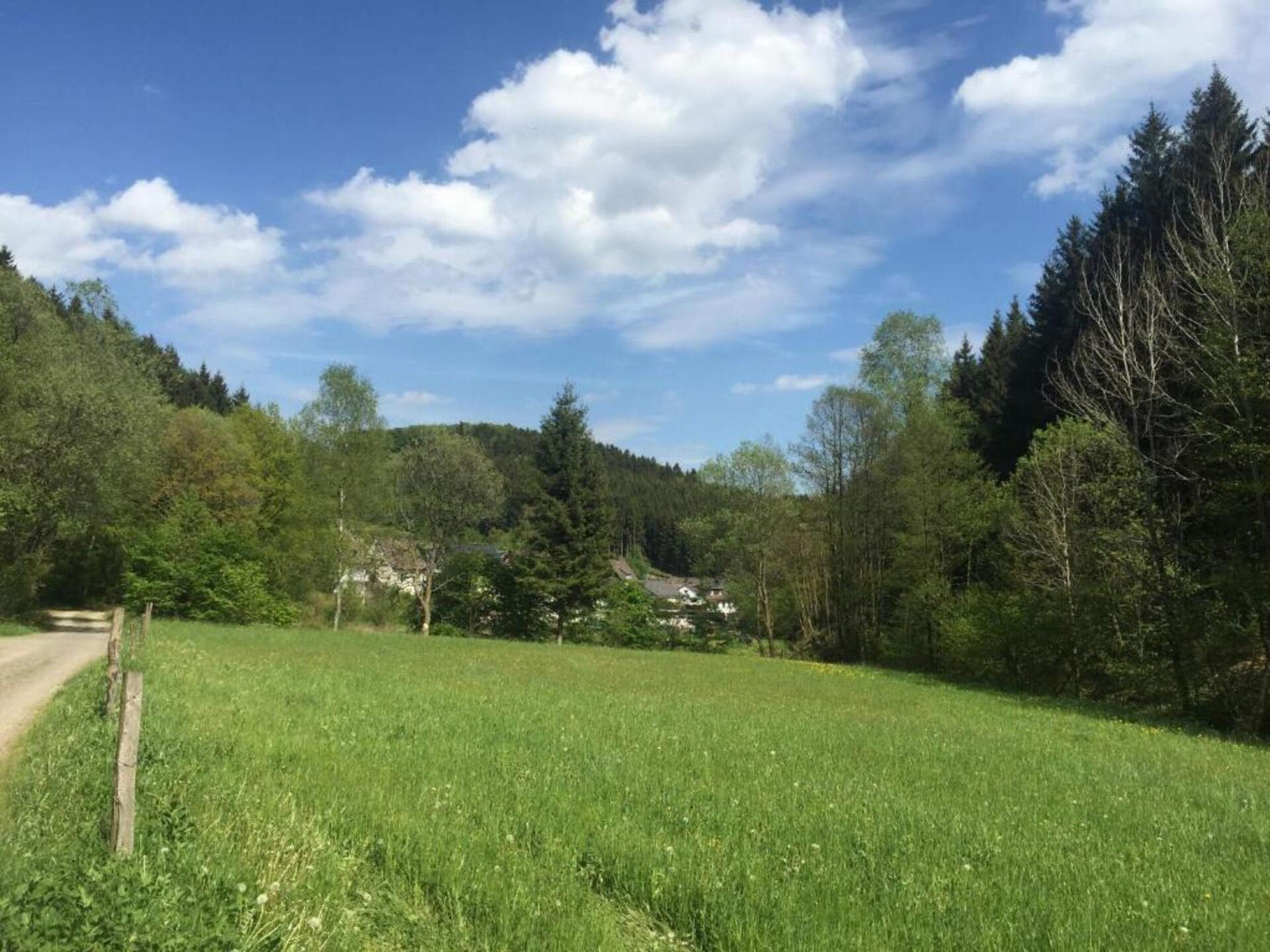 Rustiek appartement op boerderij met hertenpark in Lennestadt, Sauerland - foto 29