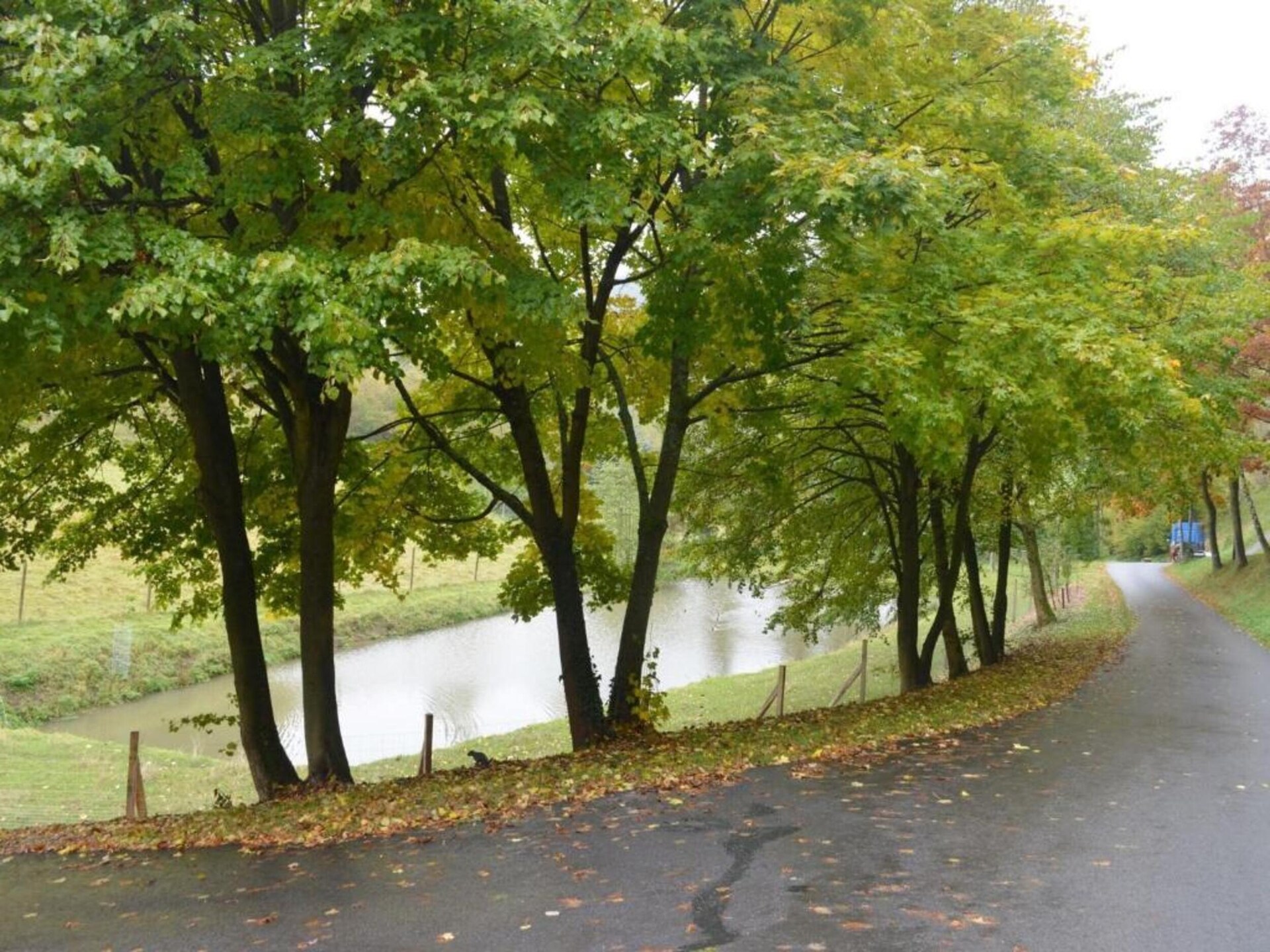 Rustiek appartement op boerderij met hertenpark in Lennestadt, Sauerland - foto 31