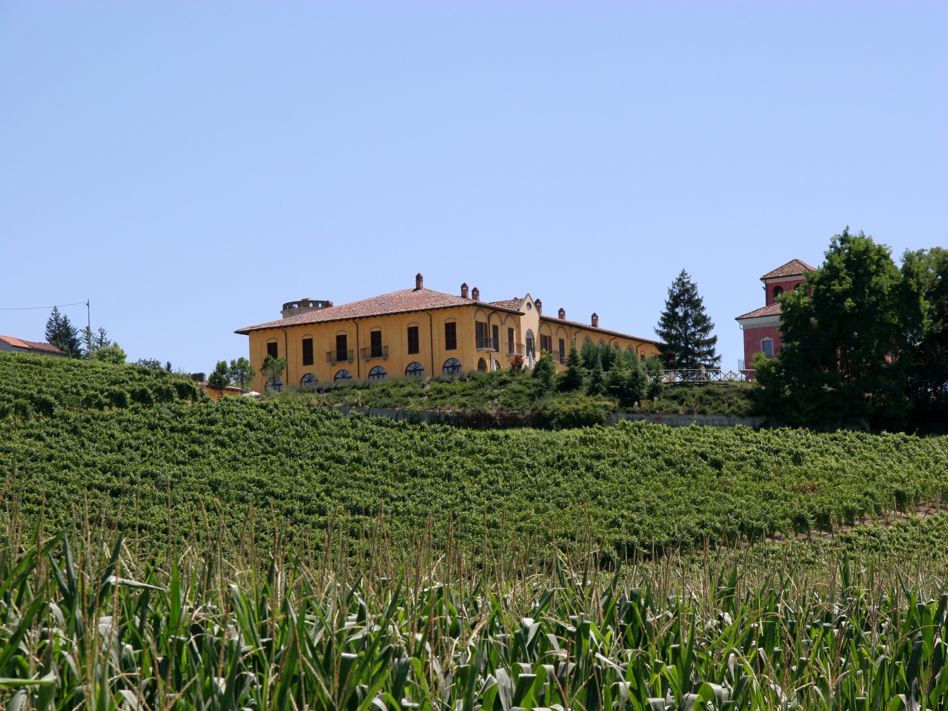 Charmant landhuis voor 4 in de bossen bij Nizza Monferrato - foto 3