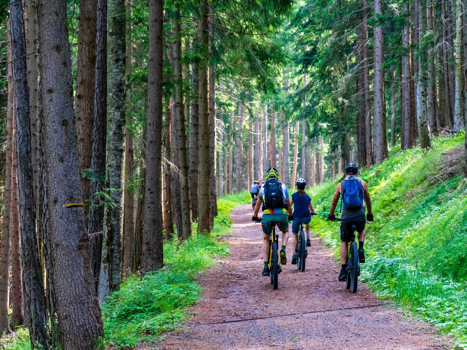 Ruim vakantiehuis voor 13 personen in de bossen bij Waimes - foto 25